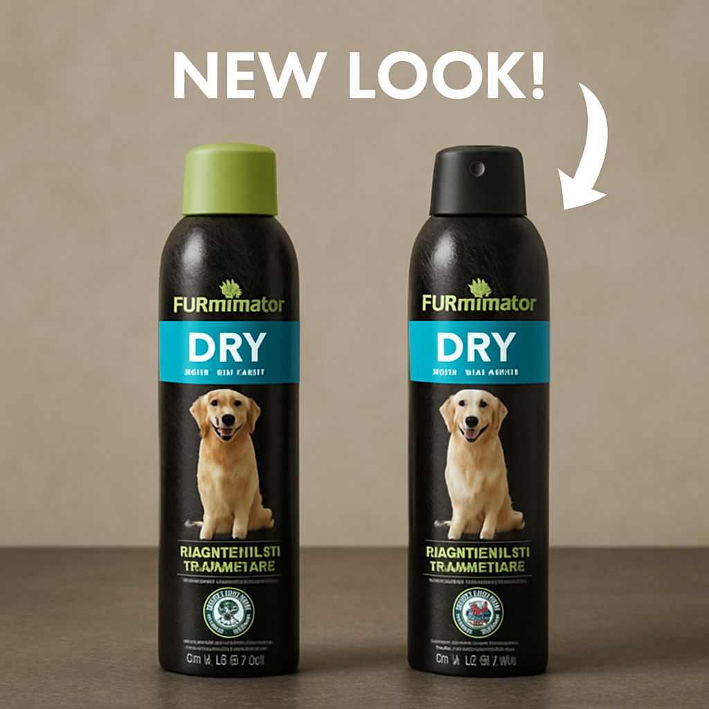 Dandruff Shampoo for Dogs: Best Picks for Dry and Itchy Skin