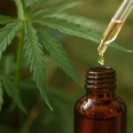 CBD skin care products and cannabis skin care benefits
