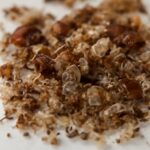 Close-up of bed bug shed skin and animal skin