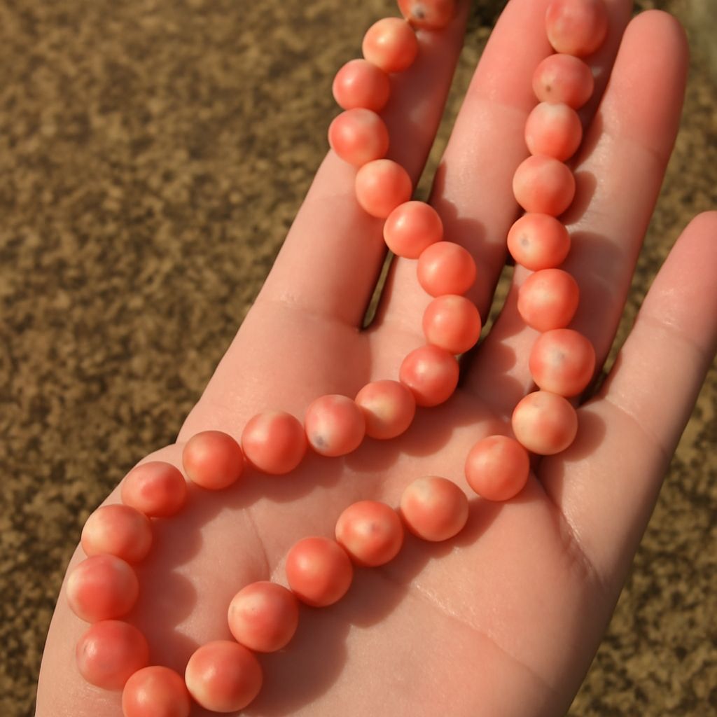 Angel Skin Coral: The Secret to Radiant Skin