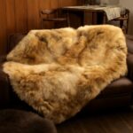 Buffalo skin coat and bear skin blanket