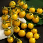 3D skin model and tomato skin
